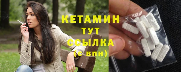 прущие грибы Вяземский