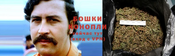 прущие грибы Вяземский