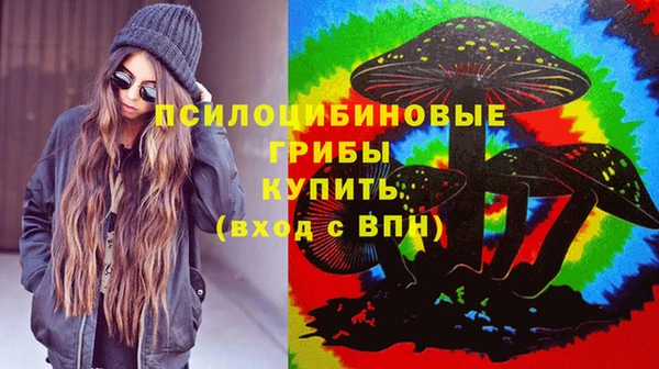 spice Вязники