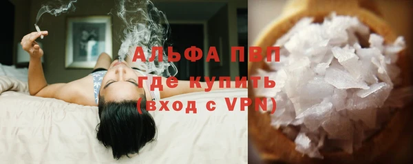 прущие грибы Вяземский