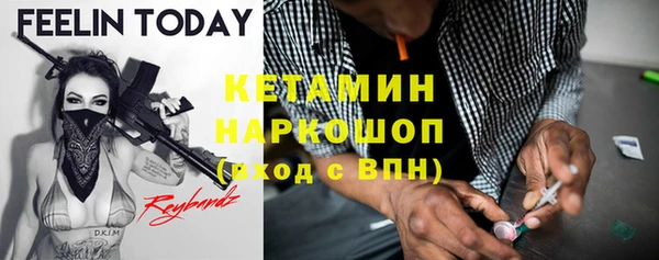 прущие грибы Вяземский