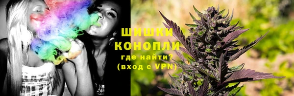 прущие грибы Вяземский