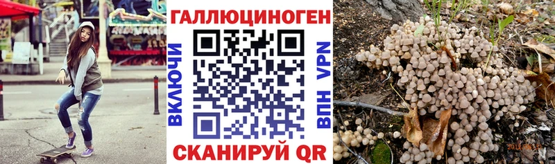 Купить  Томмот  Псилоцибиновые грибы прущие грибы 